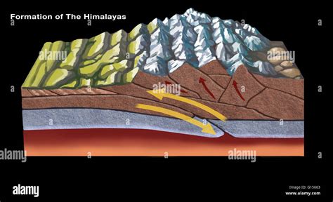 The Himalayas started forming about 70 million years ago as a result of ...