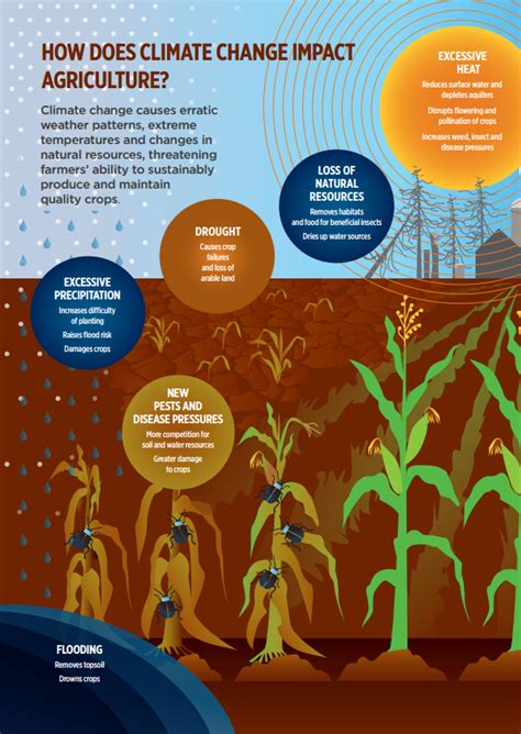 Infographic: How does Climate Change Impact Agriculture? | CropLife International