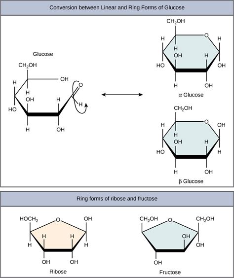 Ring Structure Of Glucose