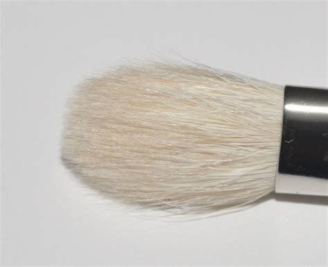 MAC 217 Blending Brush • Brush Review & Swatches