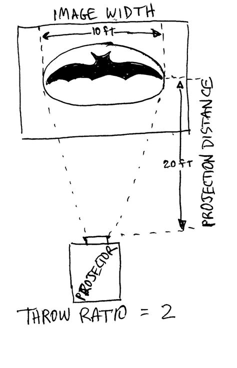 bat signal fig3 – Portland Occupier