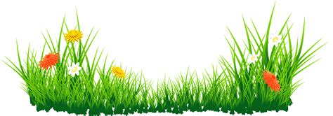 Grass background clipart – Clipartix