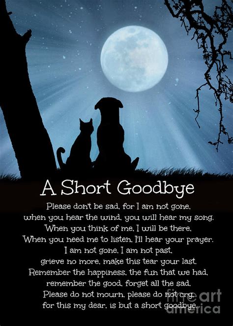 Poems About Death Of Dog