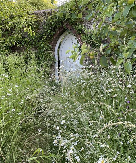 Wildflower garden ideas: 10 ways to grow meadow flowers | Homes & Gardens