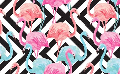 Desktop Flamingo Wallpaper - IXpaper