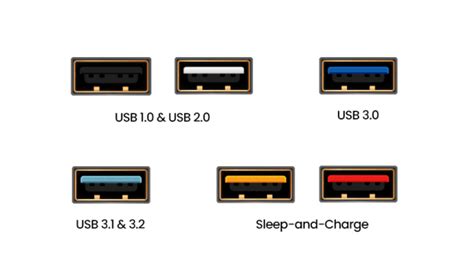 USB Basics: Types, Speed and Why It Is So Popular