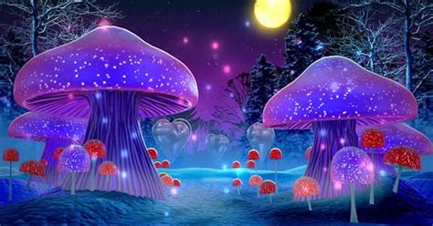 Mushroom At Night, Stock Video - Envato Elements