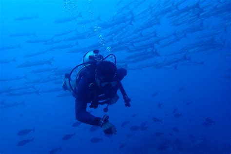 The 5 best deep diving sites for certified and experienced diver ...