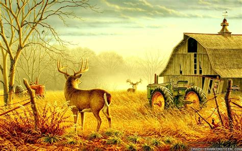 Fall Country Scenes Wallpaper (29+ images)