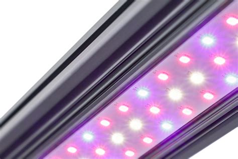 X-Series X40/X80 LED Grow Light Bars - LED Grow Lights | Kind LED