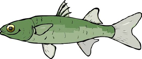 A Mullet Fish - Openclipart