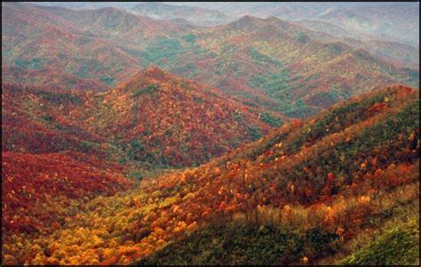 - Fall Colors Along the Appalachian Trail, GSMNP - | Appalachian trail ...