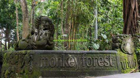 Monkey Forest Ubud Entrance Fee - Latest Update Price [2024]