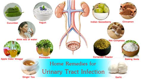 Home Remedies For Bladder Infections - HOME SWEET HOME