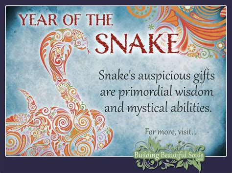 Chinese Zodiac Snake | Year of the Snake | Chinese Zodiac Signs Meanings