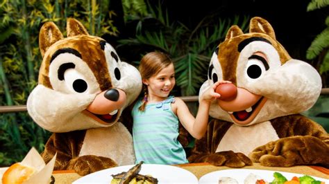 Revealed: The Best Magic Kingdom Character Dining Spots - The Family Vacation Guide