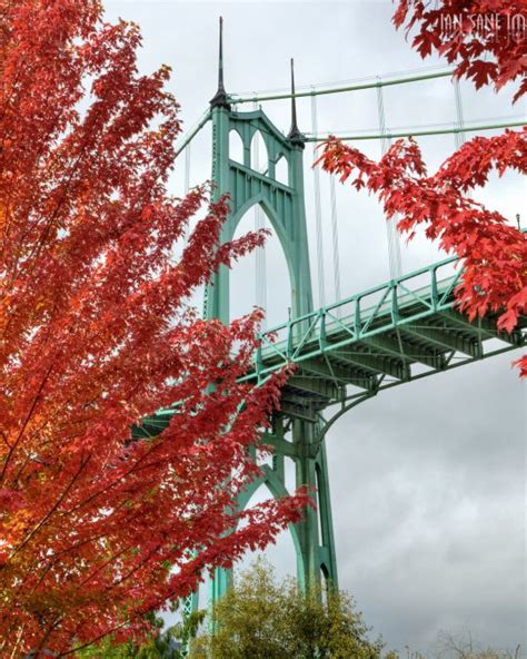 Bridges of Portland | The Official Guide to Portland