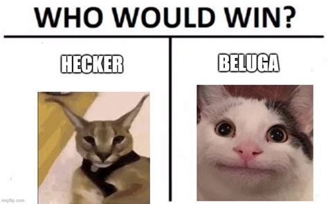 Who Would Win? Latest Memes - Imgflip