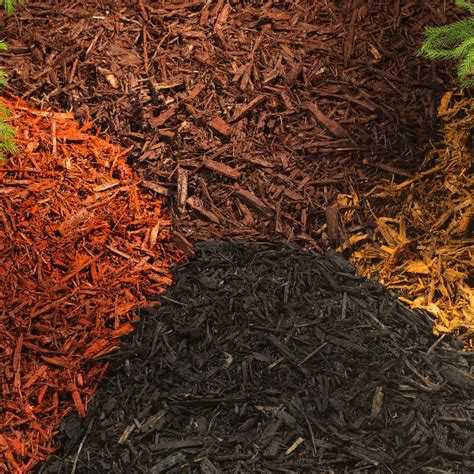 Mulch And Mulch Delivery Near Me - Checklist & Free Quotes 2024