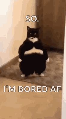 Bored Wyatt GIF – Bored Wyatt Grand Crew – discover and share GIFs