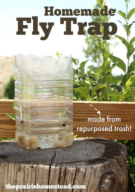 Homemade Fly Trap - Garden