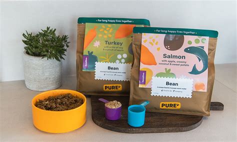 Sensitive salmon dog food with apple, creamy coconut & sweet potato - Pure Pet Food