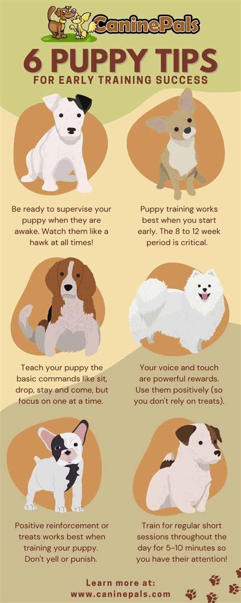 Puppy Training Tips - Canine Pals