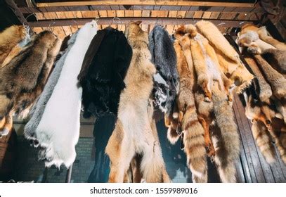 Animal Skins And Furs