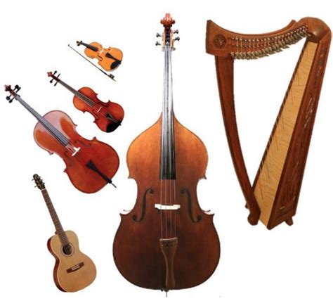 Making Musicians: Instrument Families: Brass, Woodwind, Percussion, Strings