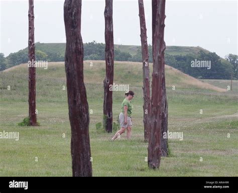 woodhenge reconstruction Stock Photo - Alamy