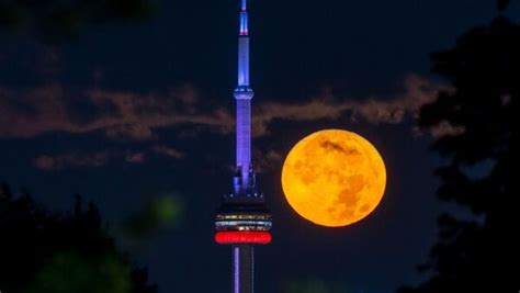 In Pics: Super Blue Moon 2023, third-largest and brightest of the year | Mint Primer