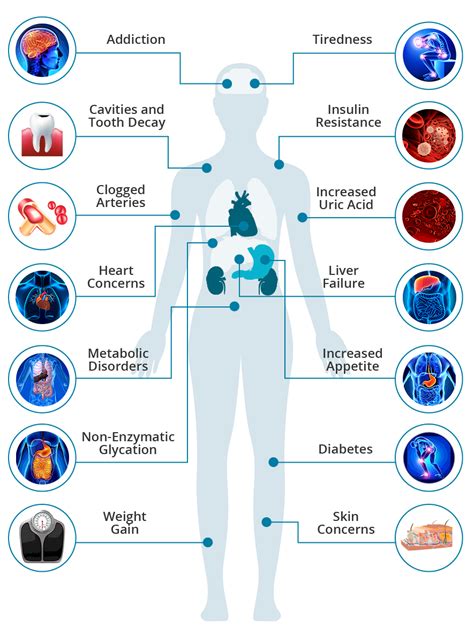 The Effects of Sugar on the Body