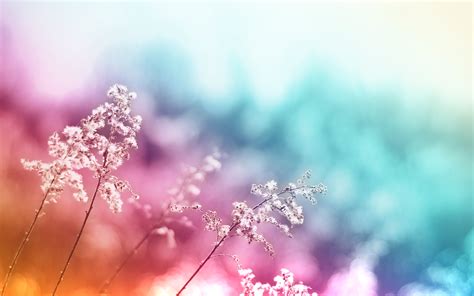 🔥 Free download Abstract Colorful Desktop Background Wallpaper [2560x1600] for your Desktop ...