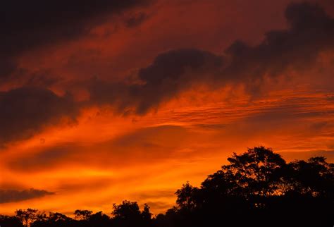 Download free photo of Sunset,sky,red,orange,clouds - from needpix.com