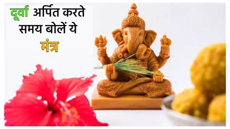 Ganesh Utsav 2023 गणेश जी को दूर्वा चढ़ाते समय जरूर बोलें ये मंत्र, बरसेगी बप्पा की कृपा ...