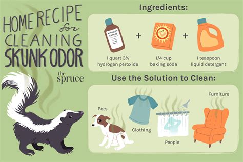 Skunk Removal Recipe | Dandk Organizer