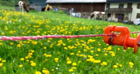 What Fence Wire Gauge Should You Use? - MyGardenZone