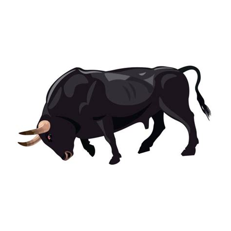 Brangus Cattle Illustrations, Royalty-Free Vector Graphics & Clip Art - iStock