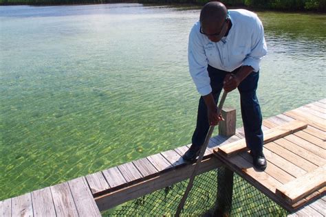 How to Crack Conch – A Lesson from the All-Time Conch Cracking Champion of The Bahamas