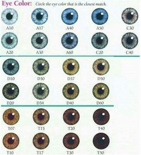 Eye Color Chart T50