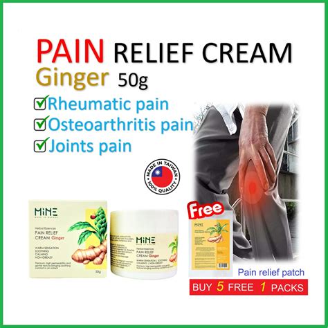 Pain Relief Cream Ginger 50g / 100g | Rheumatic pain | Osteoarthritis Arthritis pain | Joint ...