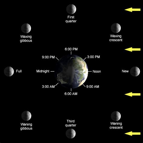 Does the Moon Orbit the Sun? - Universe Today