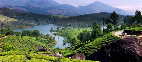 A Complete Travel Guide To Munnar Hill Station