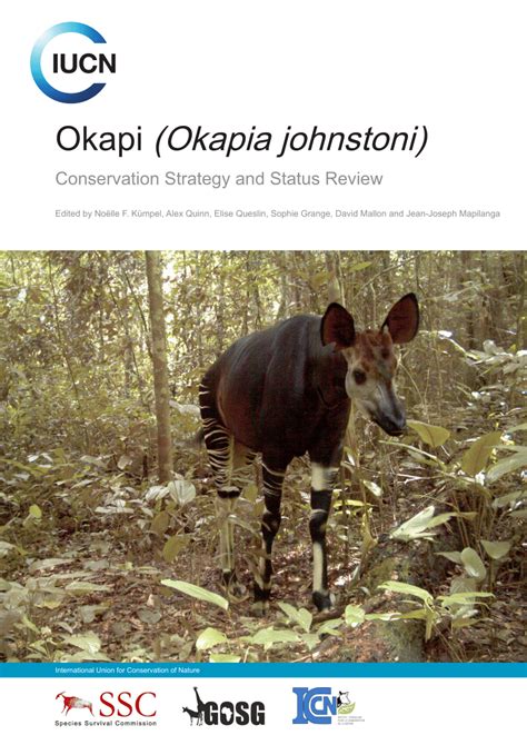 (PDF) Okapi (Okapia johnstoni) Conservation Strategy and Status Review