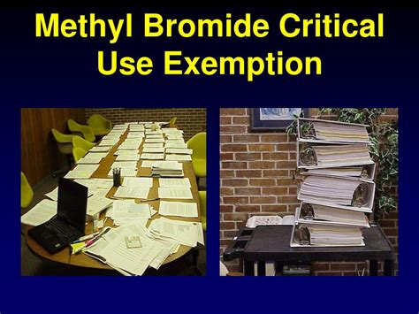 PPT - Methyl Bromide Alternatives For Nutsedge In Pepper PowerPoint ...