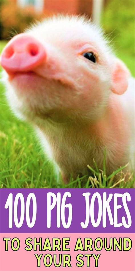 100 Pig Jokes To Share Around Your Sty | Pig jokes, Funny jokes for ...