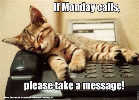 If Monday Calls, Please Take A Message! Pictures, Photos, and Images for Facebook, Tumblr ...