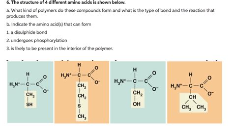 Polymers Of Amino Acids - slidesharetrick