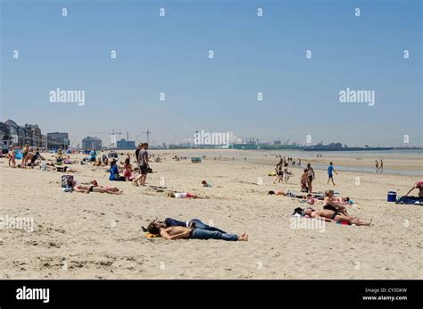 Sunbathers on Dunkirk beach, Northern France Stock Photo - Alamy