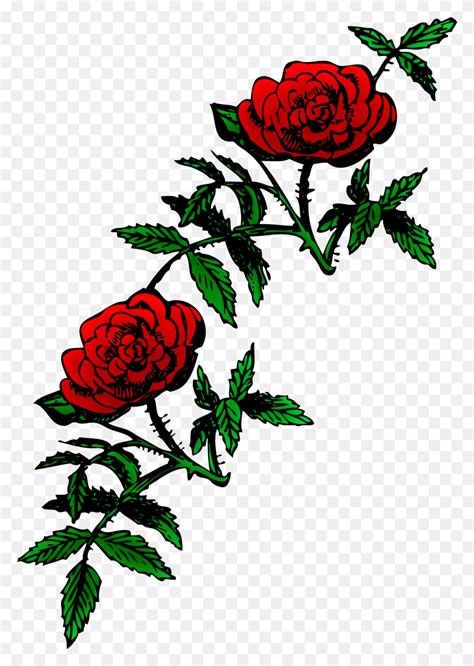 Rose Clipart Rose Tree - Rose Bush Clipart - FlyClipart